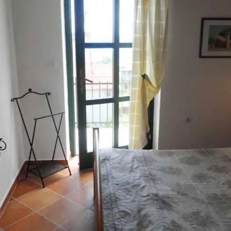 Stone Dalia 이그라네